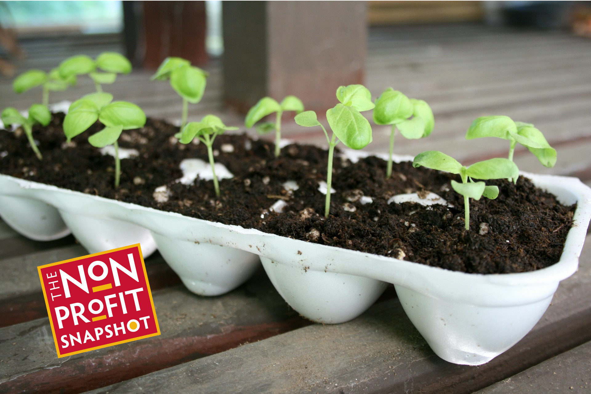 Planned Giving: What Are We Missing?